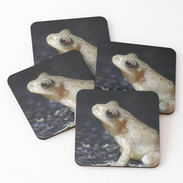 Item preview, Mr. Mackelroy the Spring Peeper designed and sold by TC-Has-Riddles.