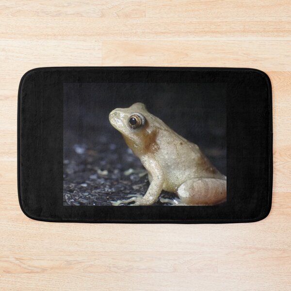 Item preview, Mr. Mackelroy the Spring Peeper designed and sold by TC-Has-Riddles.