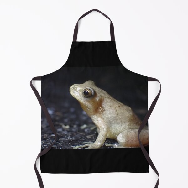 Item preview, Mr. Mackelroy the Spring Peeper designed and sold by TC-Has-Riddles.