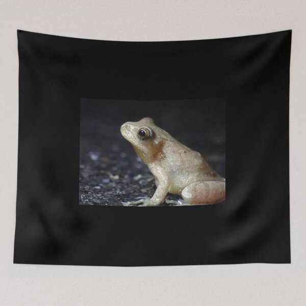 Item preview, Mr. Mackelroy the Spring Peeper designed and sold by TC-Has-Riddles.