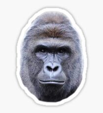 R.I.P Harambe Sticker