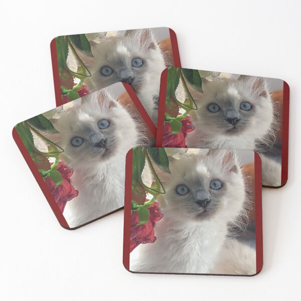 Item preview, Blue point ragdoll kitten designed and sold by Fluffycat2020.