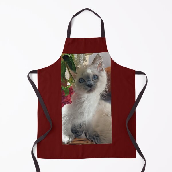 Item preview, Blue point ragdoll kitten designed and sold by Fluffycat2020.