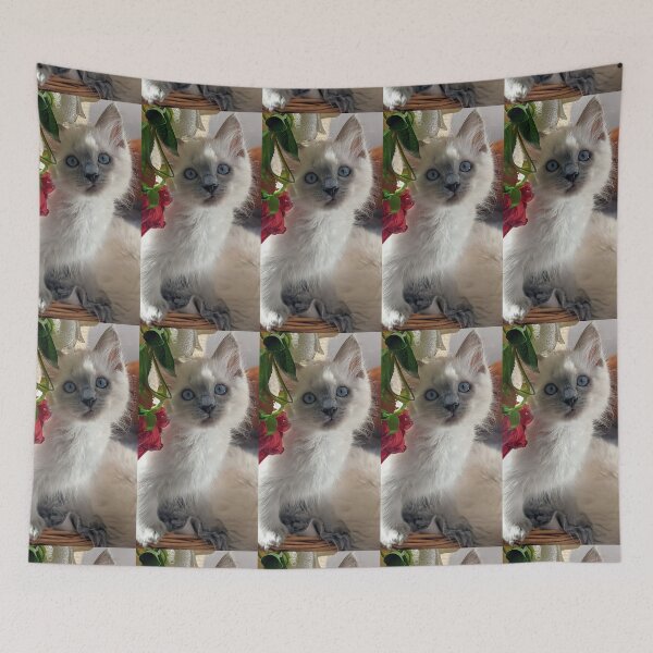 Item preview, Blue point ragdoll kitten designed and sold by Fluffycat2020.