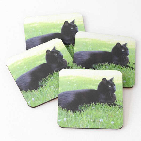 Item preview, black cat, grass, and petals designed and sold by ELMbytheriver.