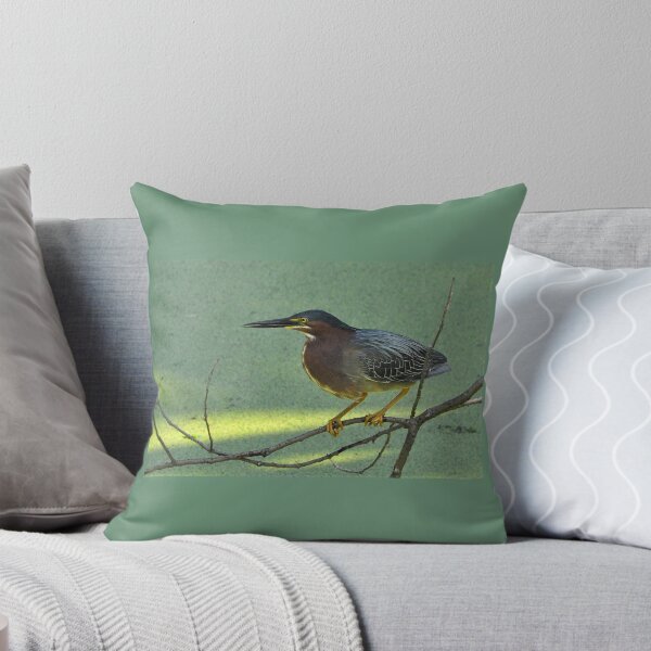 Item preview, Green Herron  photo designed and sold by mikemcglashon.