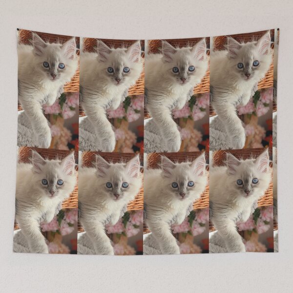 Item preview, Lynx ragdoll kitten designed and sold by Fluffycat2020.