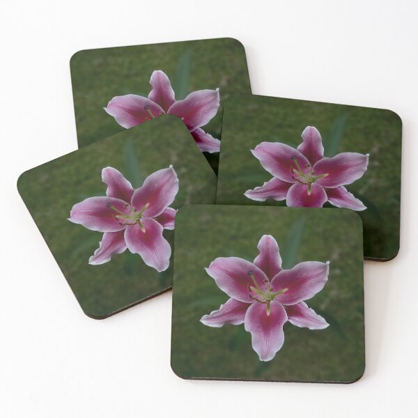 Item preview, Stargazer Lilly designed and sold by Linton Laidley.