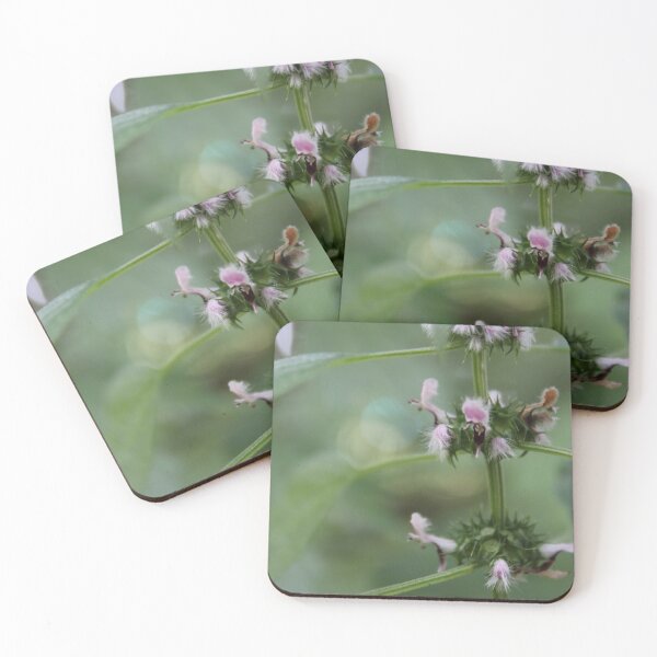 Item preview, nettle designed and sold by ELMbytheriver.