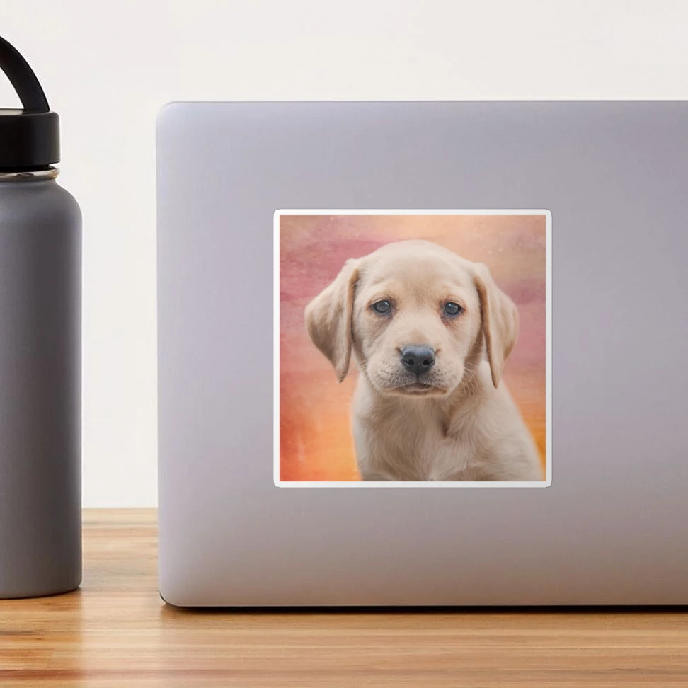 Zigarettenschachtel Mit Doge Labrador Motiv - RFID Geschützt, Kreditkartenhalter