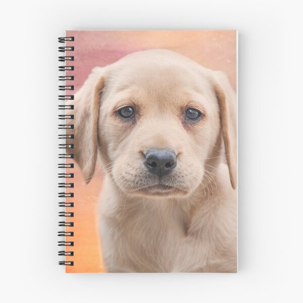Item preview, Golden Labrador Puppy - Criminally Cute  designed and sold by John Dewar.