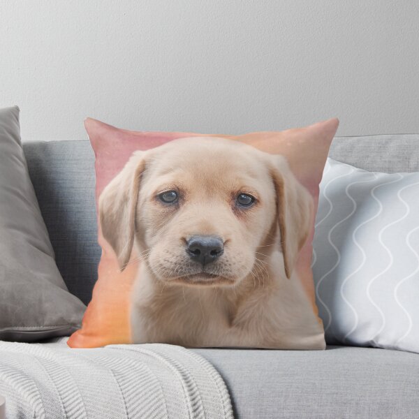 Item preview, Golden Labrador Puppy - Criminally Cute  designed and sold by John Dewar.
