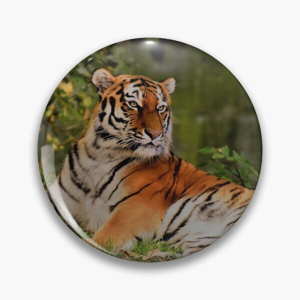 Item preview, Resting tiger designed and sold by Mrdonut19.