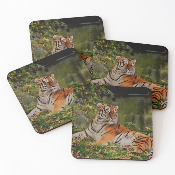 Item preview, Resting tiger designed and sold by Mrdonut19.
