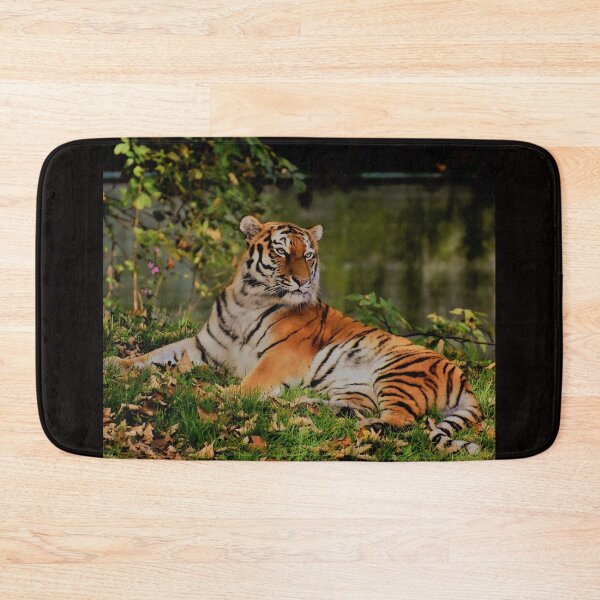 Item preview, Resting tiger designed and sold by Mrdonut19.