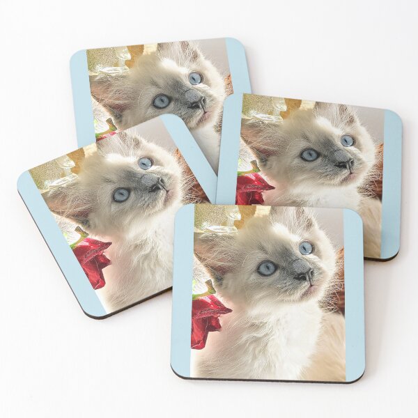 Item preview, Blue point ragdoll kitten designed and sold by Fluffycat2020.