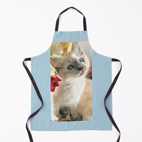 Item preview, Blue point ragdoll kitten designed and sold by Fluffycat2020.