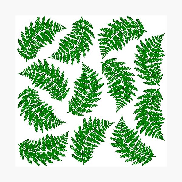 Item preview, Green Fern Pattern designed and sold by GL Digital Artwork .
