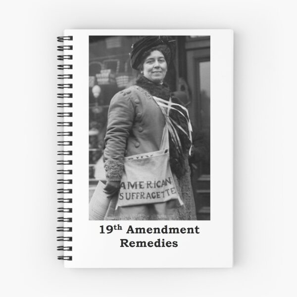 Item preview, 19th Amendment Remedies designed and sold by dimmesdale.