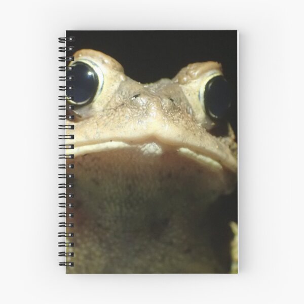 Item preview, Un sapo simple designed and sold by TC-Has-Riddles.