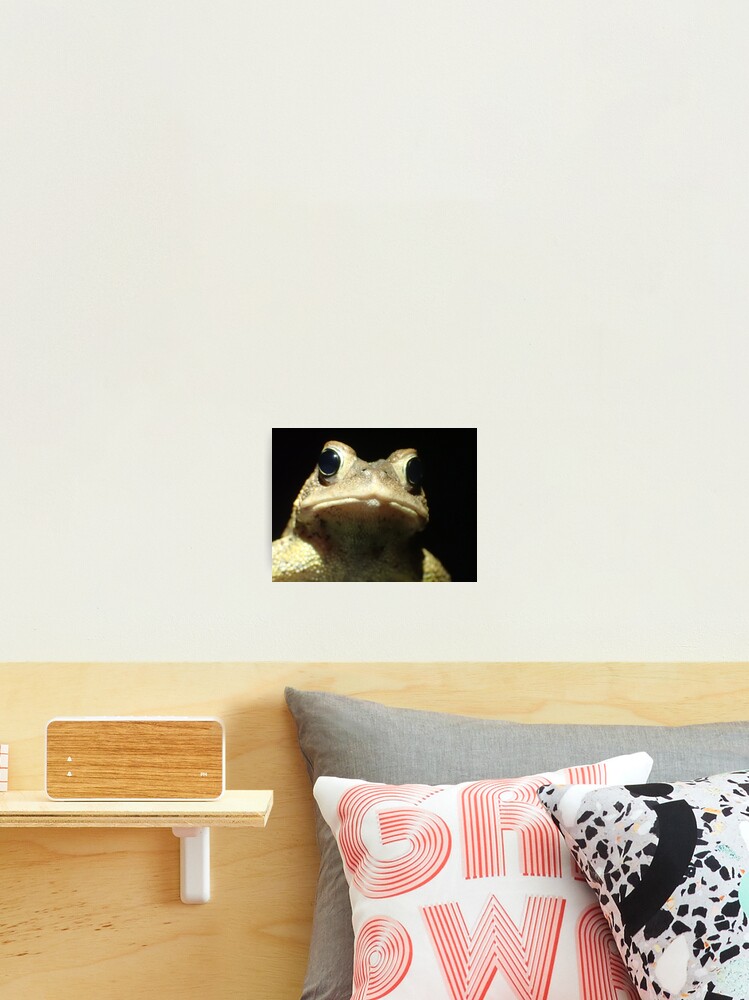 Thumbnail 2 of 3, Photographic Print, A Simple Toad designed and sold by TC-Has-Riddles.
