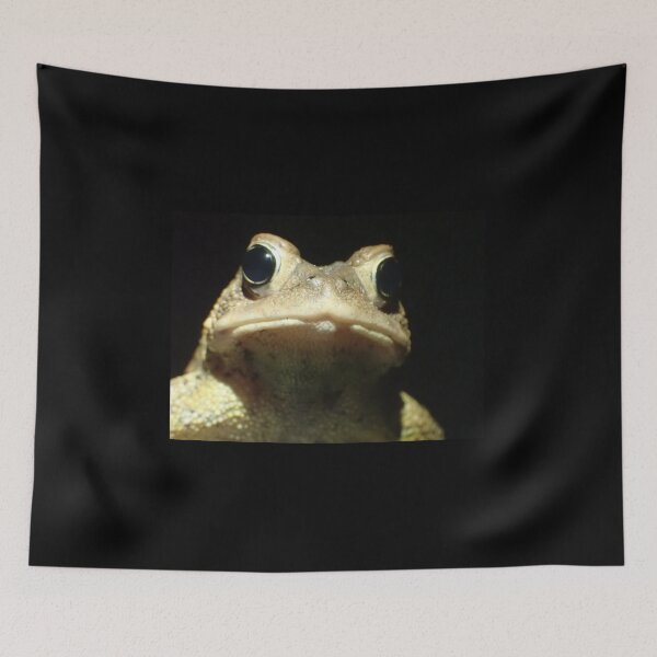 Tapestry