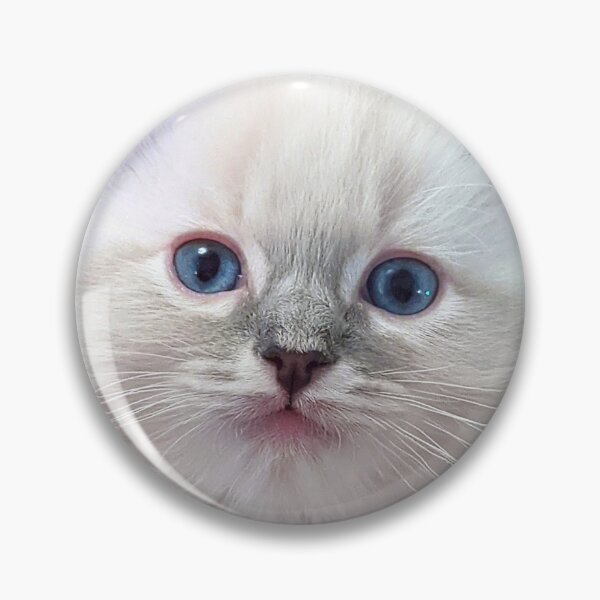 Item preview, Lynx ragdoll kitten designed and sold by Fluffycat2020.