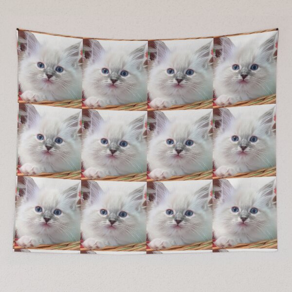 Item preview, Lynx ragdoll kitten designed and sold by Fluffycat2020.