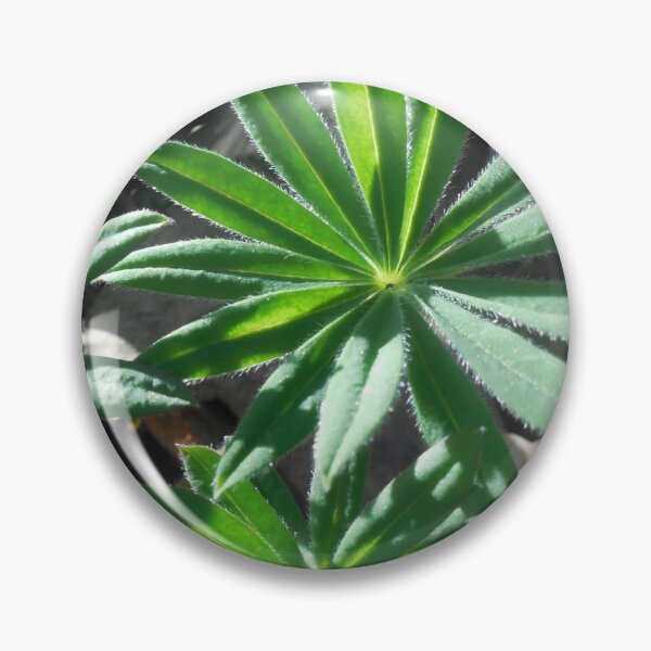 Item preview, Leafy Green Cacti Plants designed and sold by AmeliaIsabel.