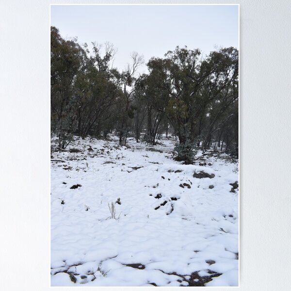 Item preview, Snow Covered Bushland designed and sold by PeanutsMarket.