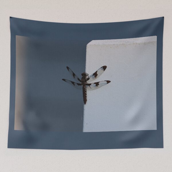 Item preview, Female Common Whitetail Skimmer Dragonfly designed and sold by LisaNaturePhoto.