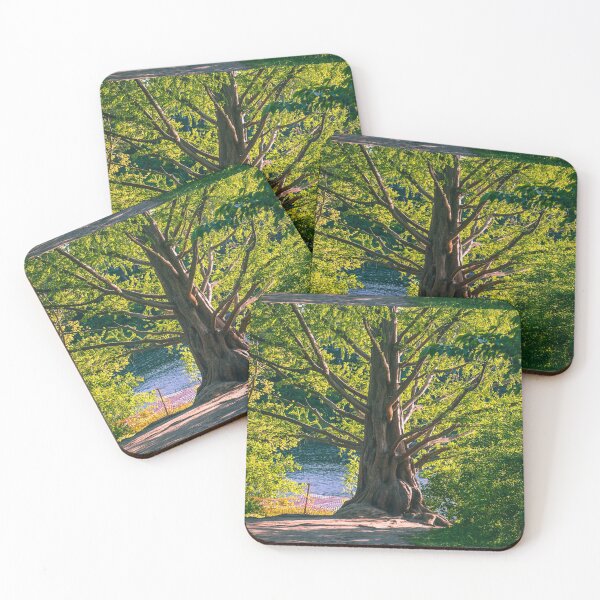 Item preview, Ancient Tree designed and sold by alexlikeart1.