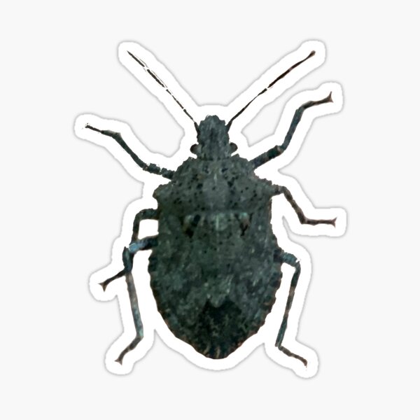 Item preview, Stinky designed and sold by derbyisdead.