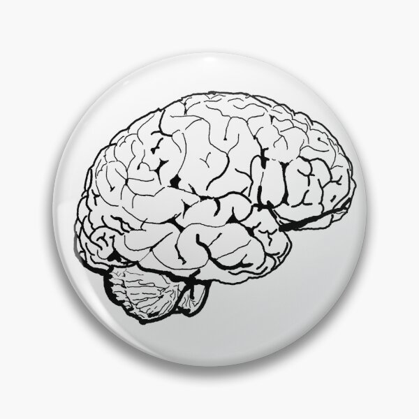 Item preview, Brain Outline designed and sold by NeuroNotes.