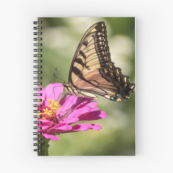 Item preview, Eastern Tiger Swallowtail 2016-1 designed and sold by Thomasyoung.