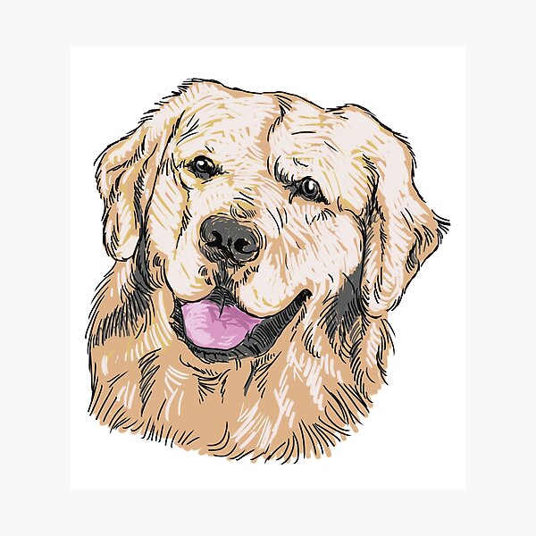 Kawaii Cute Golden Retriever Puppy Photographic Prints | Redbubble