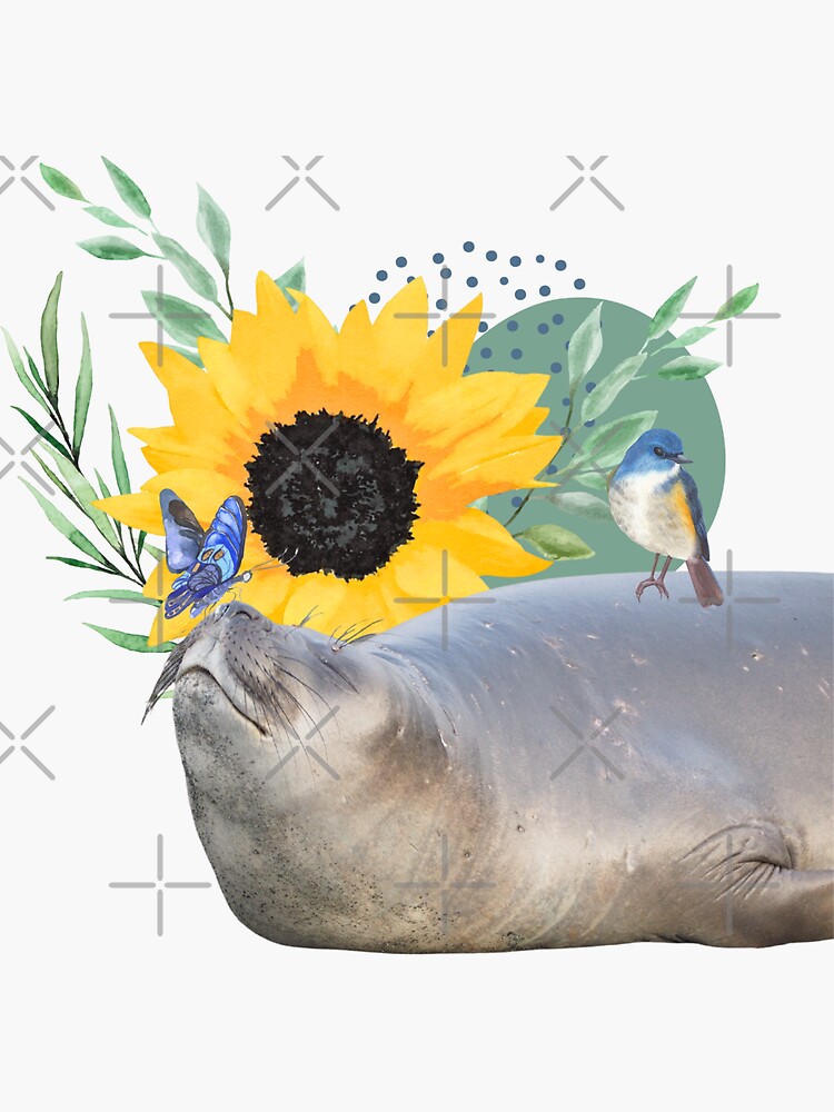 "ELEPHANT SEAL PUP IN NATURE" Sticker for Sale by thewildandice | Redbubble