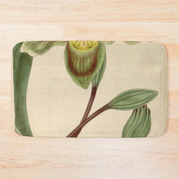 Item preview, Paphiopedilum insigne (as Cypripedium insigne) Curtis' 62 (N.S. 9) pl. 3412 (1835) designed and sold by EsotericBotanic.