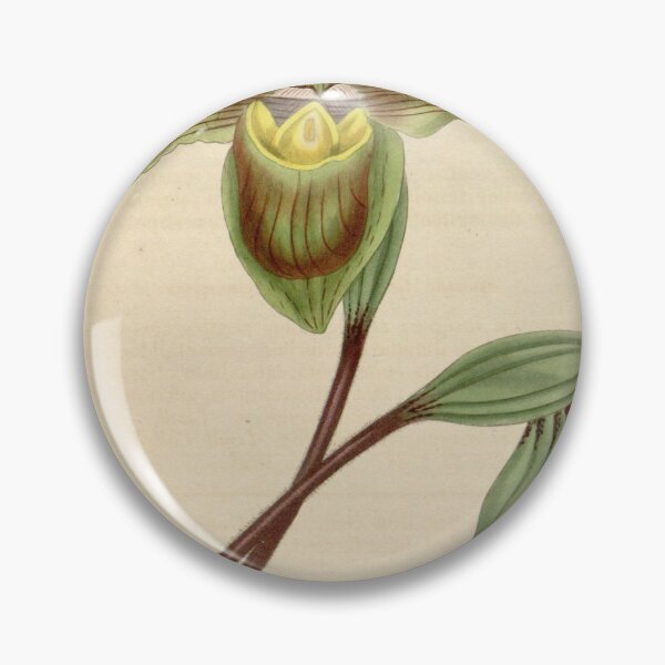 Item preview, Paphiopedilum insigne (as Cypripedium insigne) Curtis' 62 (N.S. 9) pl. 3412 (1835) designed and sold by EsotericBotanic.