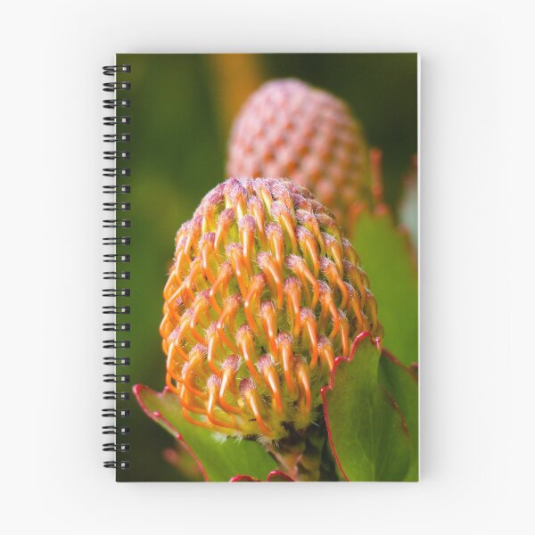 Item preview, Leucospermum patersonii flower designed and sold by Connie Pinson.