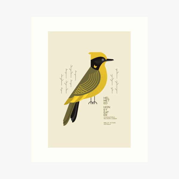 Item preview, Helmeted Honeyeater, Bird of Australia II designed and sold by printedsparrow.