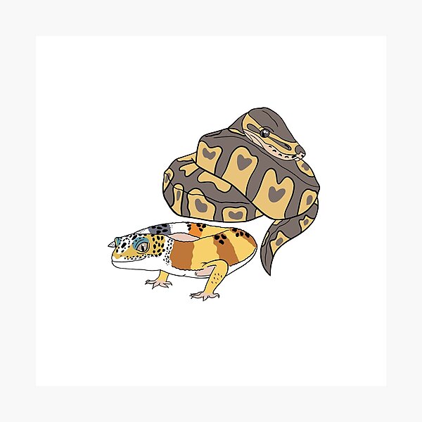 Item preview, Royal python and leopard gecko pattern ‘Reggie & Bodhi’  designed and sold by iconicus-design.