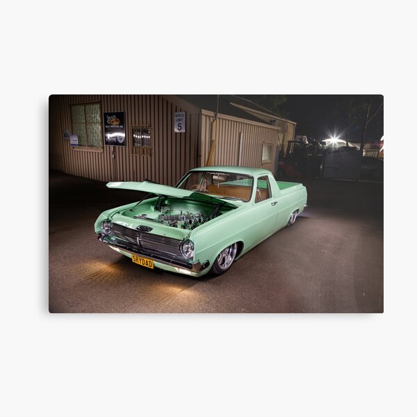 Metal Print
