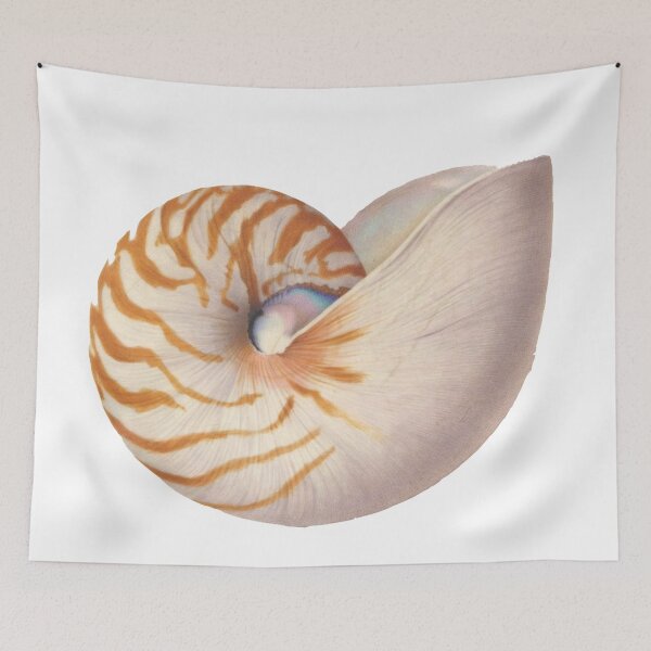 Item preview, Nautilus designed and sold by CherishedCloset.