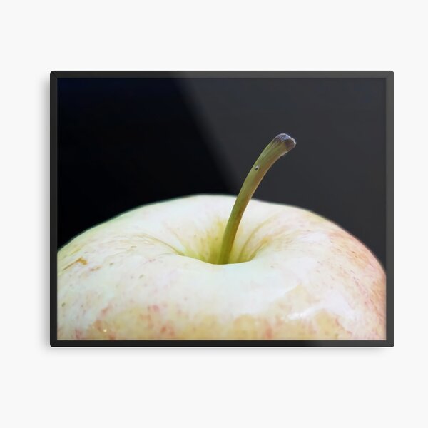 The Apple Framed Photo Paper Metal Print
