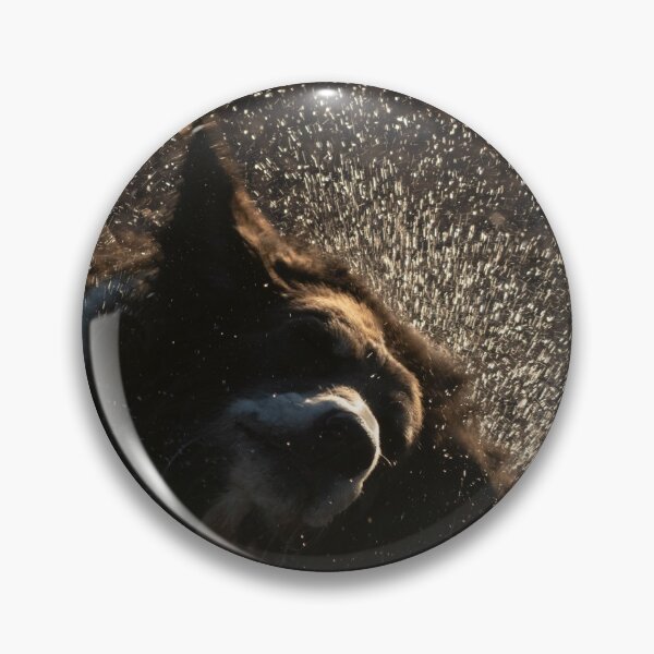 Item preview, Get your splash on! Wet Dog Shaking Off a Huge Spray of Water Drops designed and sold by Steven Holt.