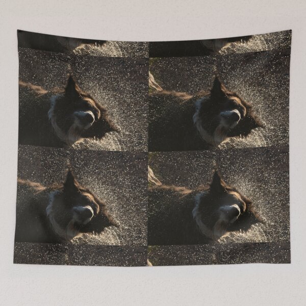 Item preview, Get your splash on! Wet Dog Shaking Off a Huge Spray of Water Drops designed and sold by Steven Holt.