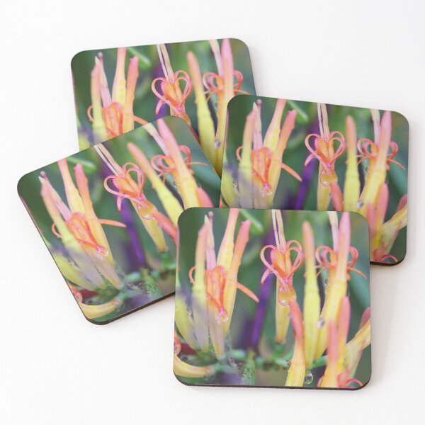 Item preview, Mistletoe  designed and sold by Penny Kittel.