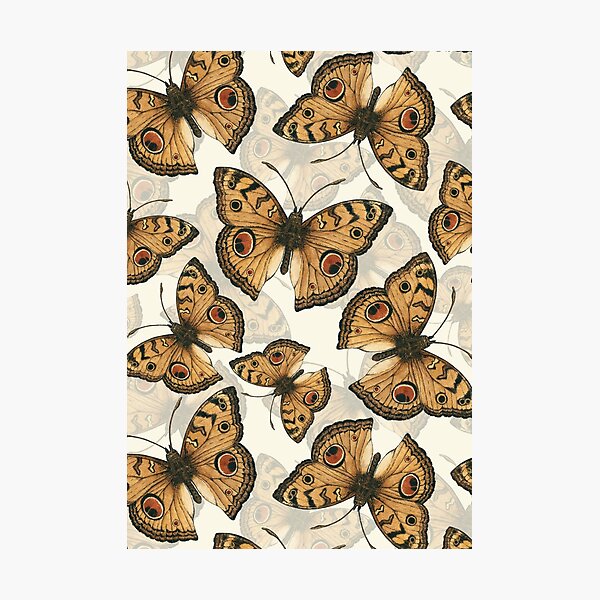 Item preview, Peacock pansy butterfly pattern designed and sold by Katerina Mitkova Kirilova.