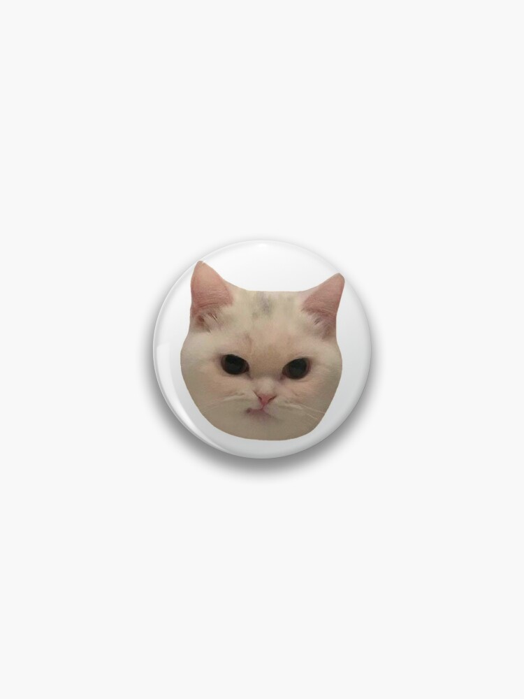 Angry Cat Meme Pin